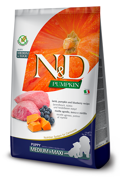 N&D Pumpkin Lamb & Blueberry Puppy Medium & Maxi 12KG